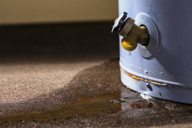 Best Flood restoration services  in Goose Creek Village, VA