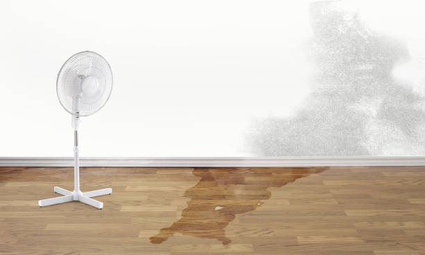 Best Water damage cleanup near me  in Goose Creek Village, VA