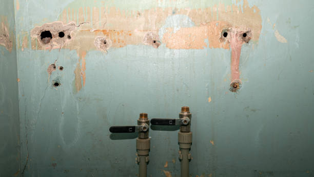 Best Ceiling water damage repair  in Goose Creek Village, VA